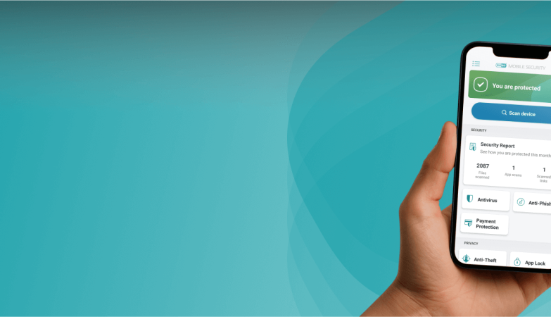 How To Balance Privacy And Security In Mobile Device Management